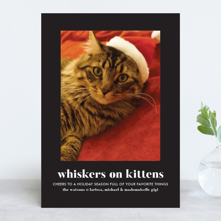 "Whiskers on Kittens" - Holiday Photo Cards in Licorice by Erika Firm.