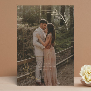 Special Arch by Marina Onoprienko