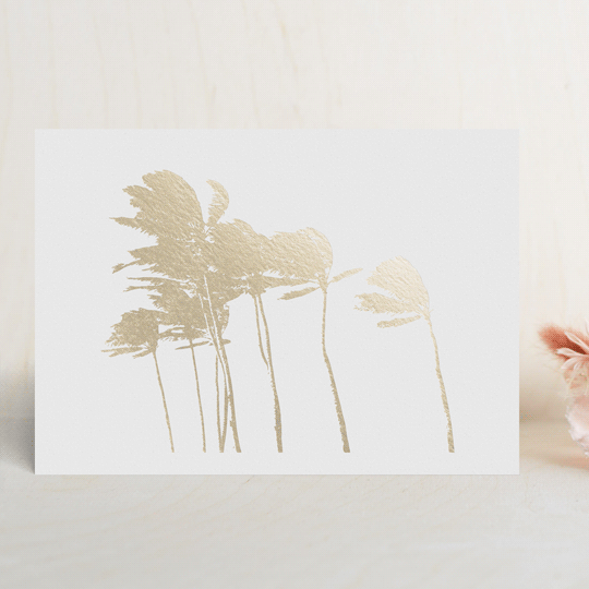 Palm Trees in the Wind