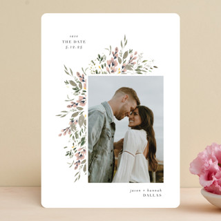 Aubrieta by Christy Bergerson