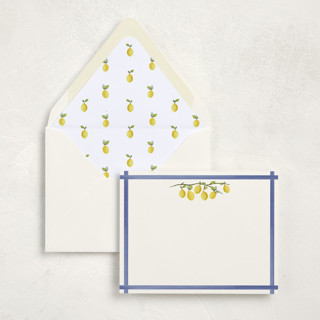 This is a zest stationery set by Tina Faselli called limoncello (set of 10) in standard