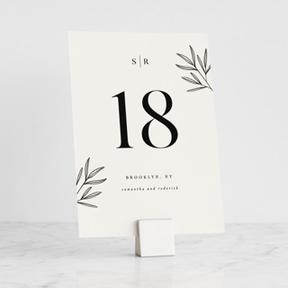 This is a silver place card holders by Minted called brushed silver cube in standard