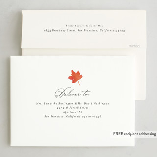 This is a cotton thanksgiving cards invitations with standard by Morgan Kendall called simple script printing on recycled smooth signature in standard