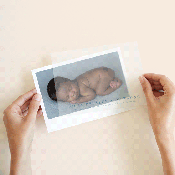 Menil Vellum Overlay Birth Announcements by Megan Davis Minted