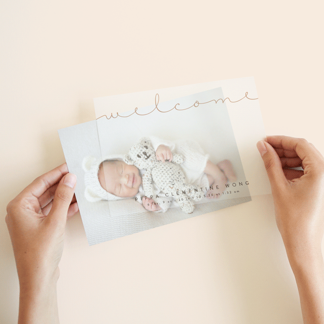 Delicate Vellum Overlay Birth Announcements by Olivia Raufman