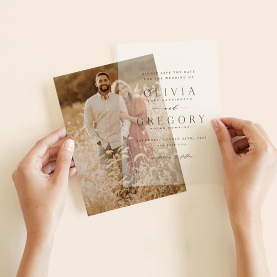 vellum