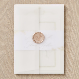 This is a white vellum wedding invitations by Minted called vellum wrap in standard
