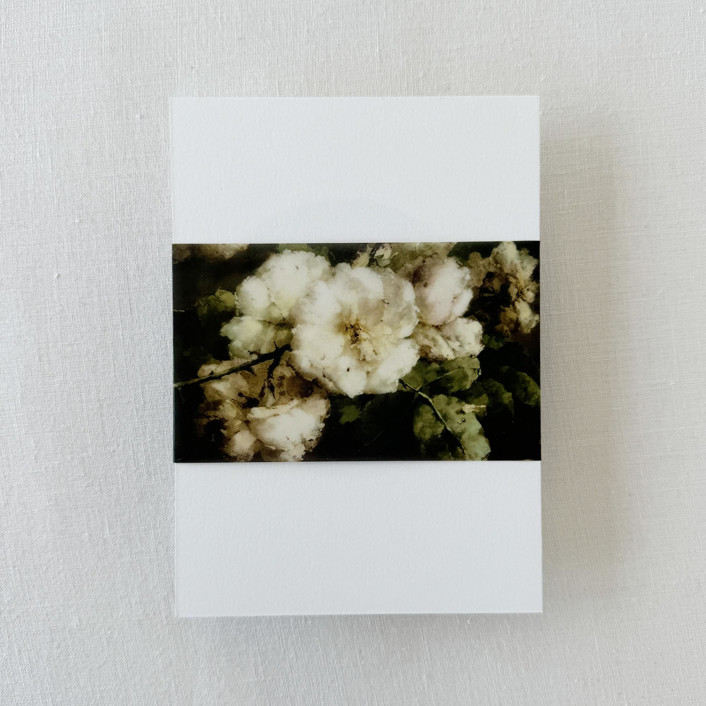 MIN-PL8-WBL - Vintage Neutral Floral Vellum Belly Bnads For Wedding Invitations | Set Of 25