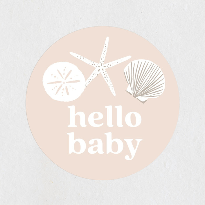 Seashell 