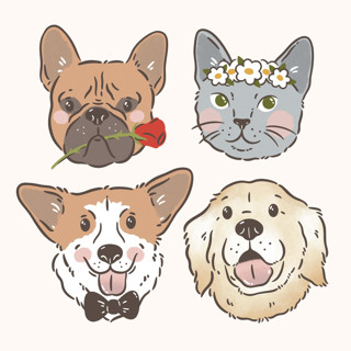 This is a multicolor design elements by Sam Dubeau called custom pet icon, face portrait illustration in standard