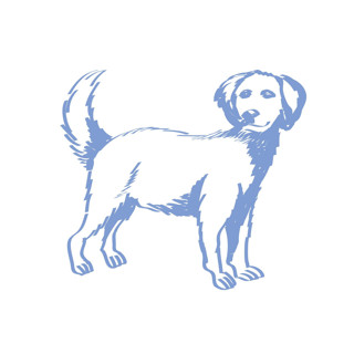 This is a blue design elements by Teju Reval called custom dog line drawing icon in standard