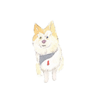 This is a multicolor design elements by Cotton and Bow called custom watercolor pet icon in standard