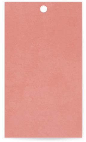 This is a coral wedding favor tags with standard by Julie Hebert called birds of paradise printing on signature in tag