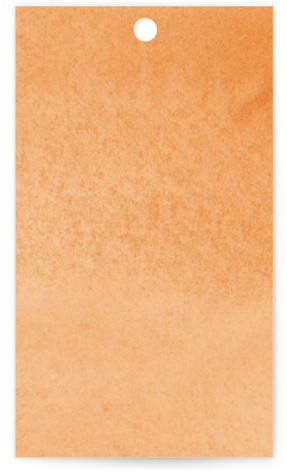 This is a citrine wedding favor tags with standard by Everett Paper Goods called sweeping meadow printing on signature in tag