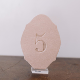 This is a pink table numbers by Velvet Raptor called double sided table number - oval - blush in standard