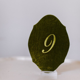 This is a green table numbers by Velvet Raptor called avocado script oval table number in standard