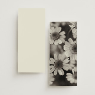 This is a vanilla unique wedding programs with standard by Blustery August called nonnette printing on signature in standard