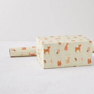 This is a woodland wrapping paper by Creo Study called woodland animal frame in standard