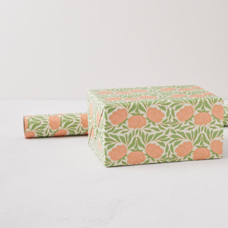 This is a petal wrapping paper by Zani van Zyl called peony in standard